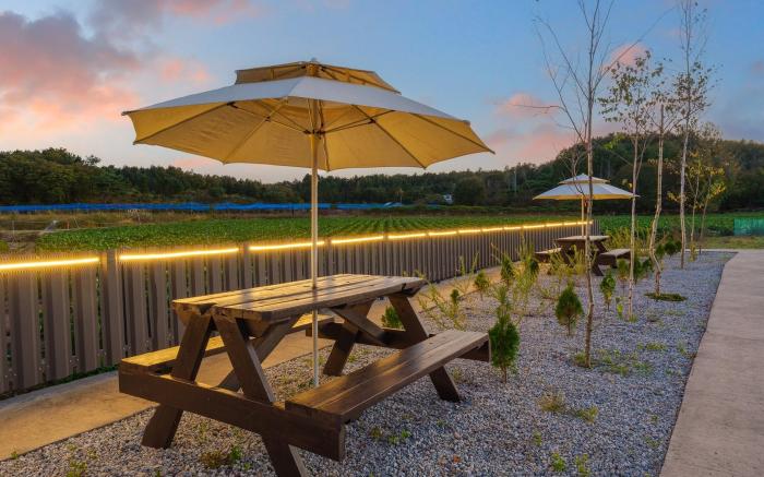 Gangneung Staydasiolgae PoolvillaPension