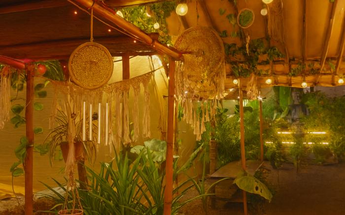 Arambol Bliss Hotel Apartments