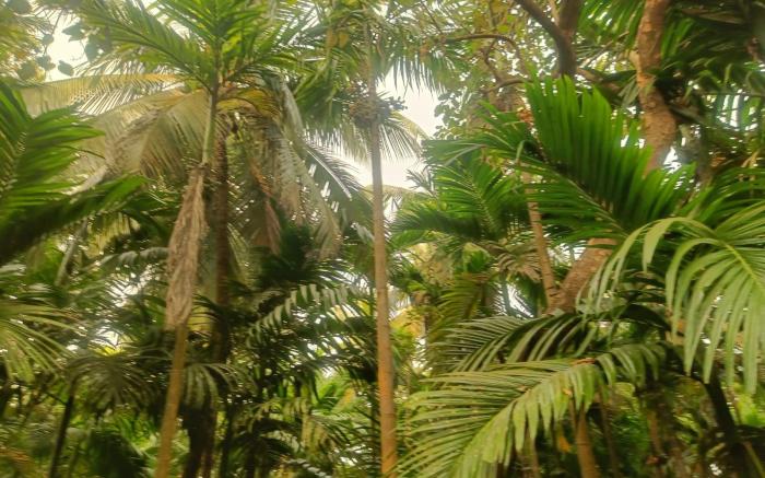 Shantadurga Beachside Homestay