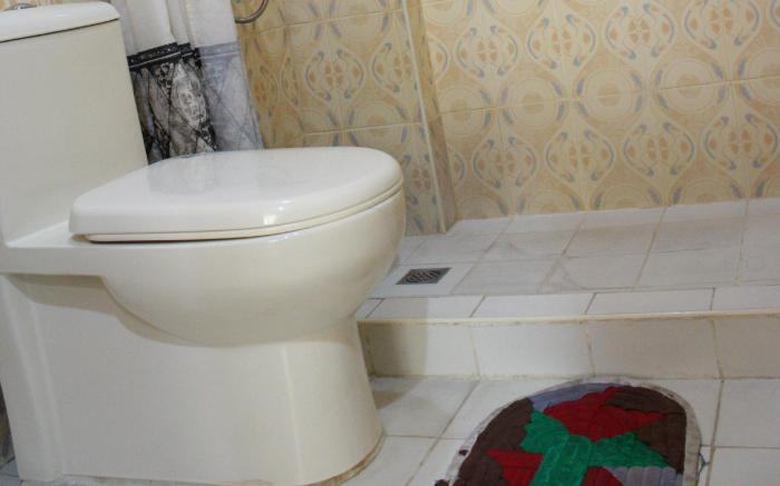 Dumaguete Springs Apartment