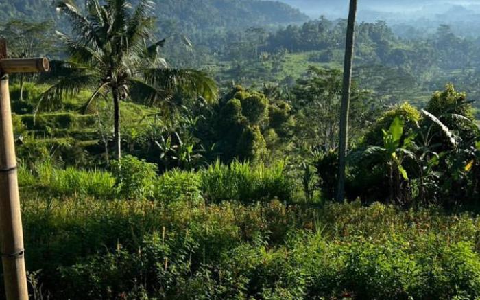 Gladak di Uma Bali
