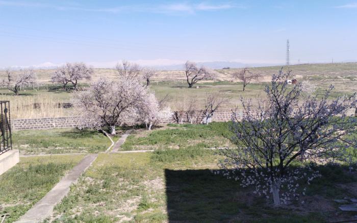 Airport to Echmiadzin Guest House