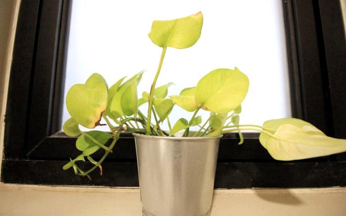 ZL Suite @ Kanvas Soho Wi-Fi Netflix