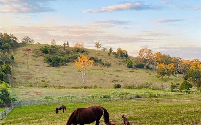 Doomben Ridge Farm House