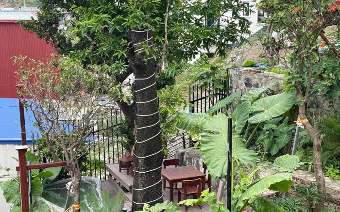 Ecorest Villa Cat Ba