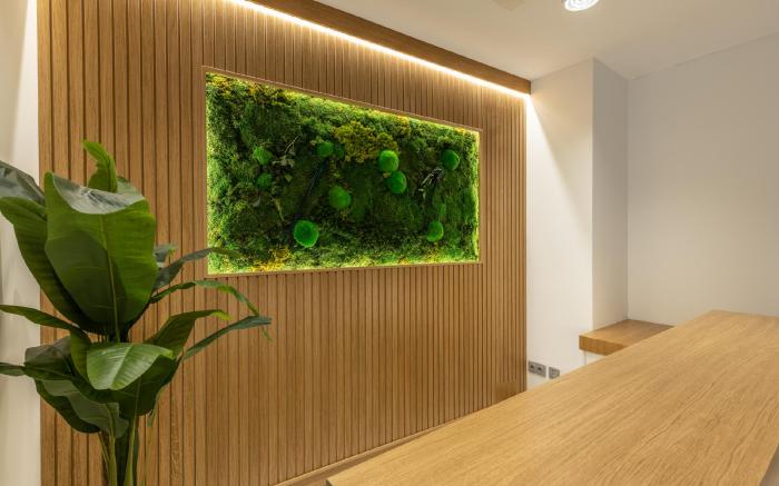 BiBo Suites San Agustin