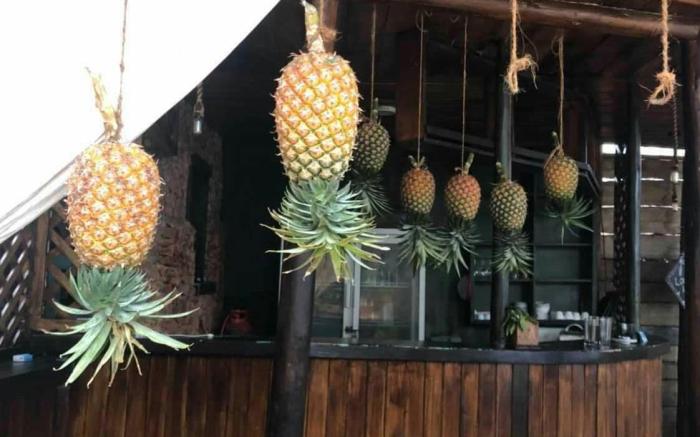 Pazuri kendwa Beach Hotel 