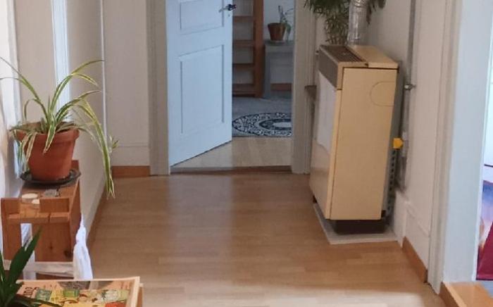 gemütliche Dachwohnung
