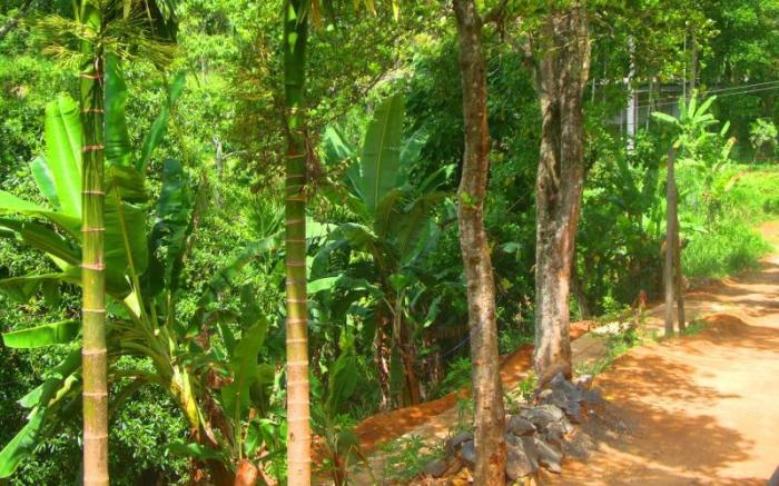 Madushanka Resort