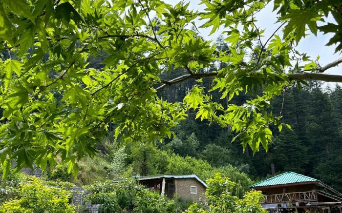 Vishuddhi Mud House-Relax & Reconnect by Homeyhuts