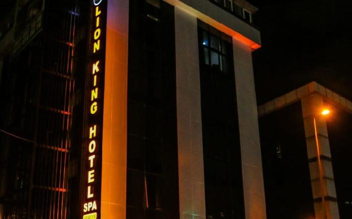 Lion King Hotel