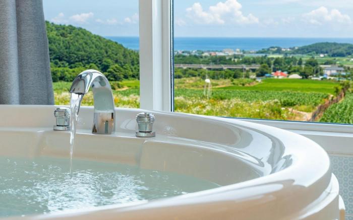 Yangyang Monti Pet Spa Pension