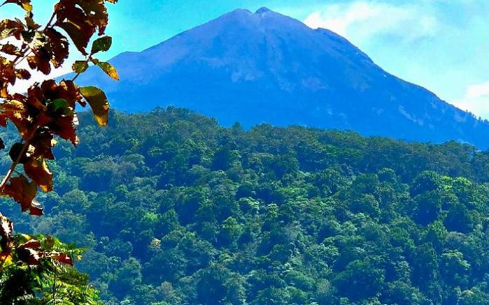 Holi Homestay Trawas