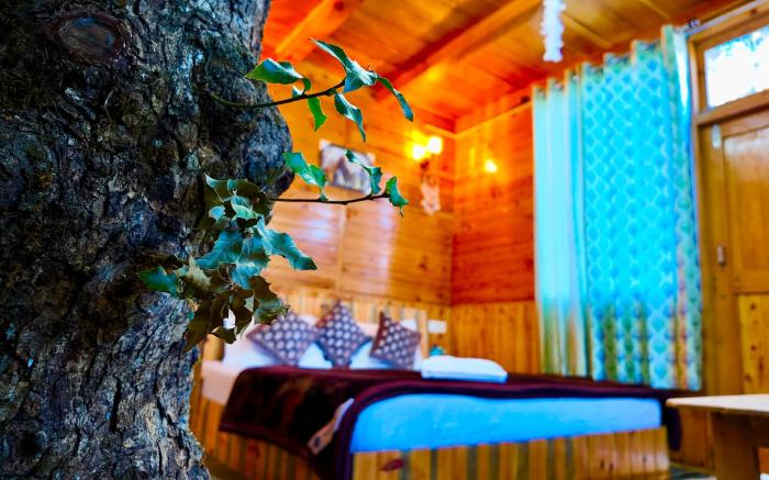 woodland treehouse jibhi