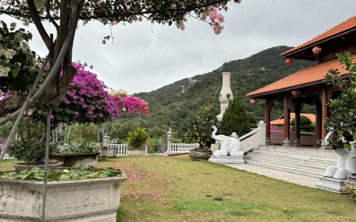 Hoa Giấy Hilltop Retreat