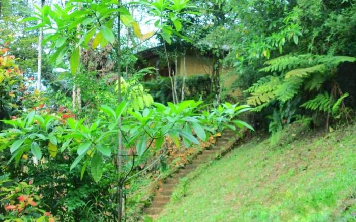 Sinharaja Eco Lodge 