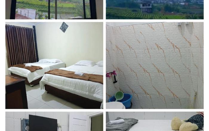 Mamamia homestay 