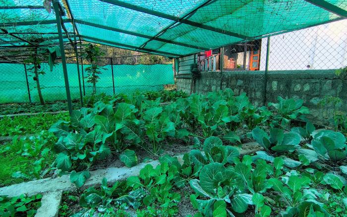 Kalakriti Retreat - Scenic 4BR Cottage By Homeyhut