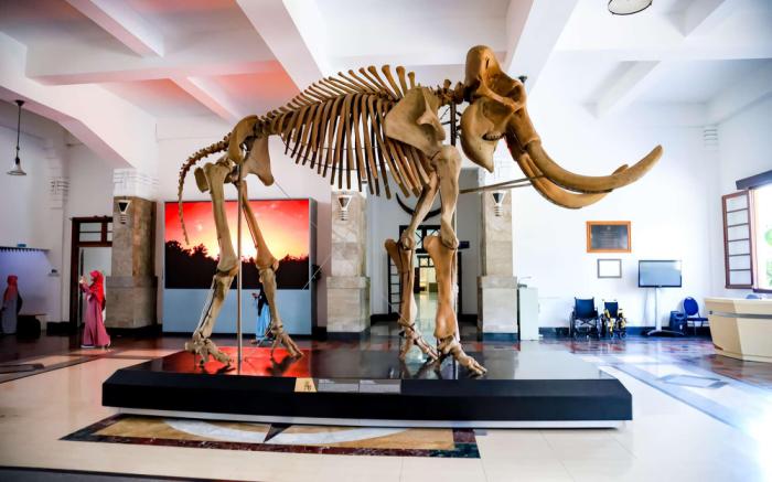 voco Bandung Setiabudi By IHG