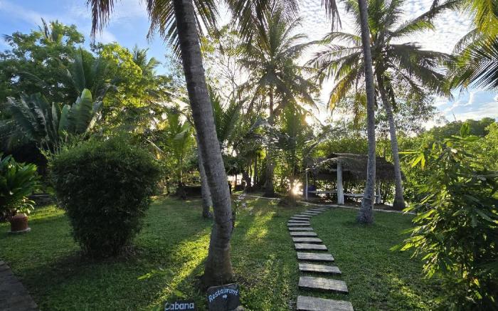 Ginger Harmony Guesthause and Café