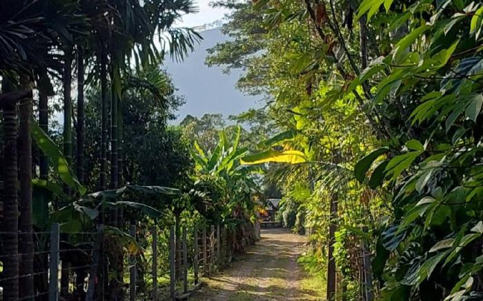 Mimi Homestay - มีมี่ โฮมสเตย์ วังรี นครนายก
