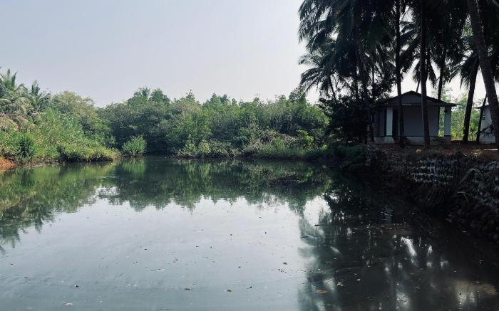 India Yoga Village