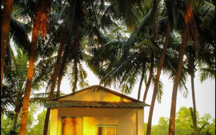 India Yoga Village