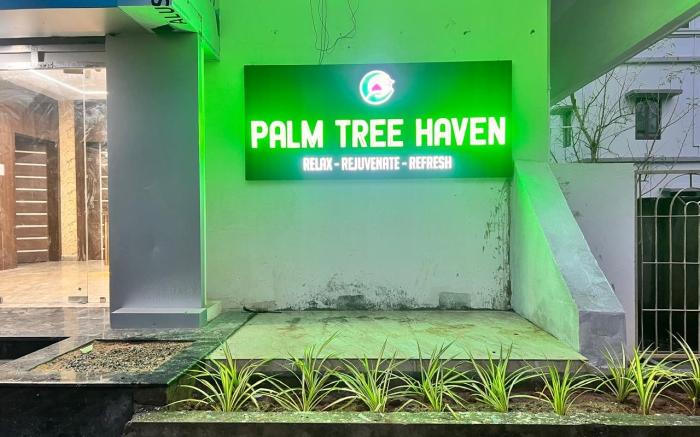 Palm Tree Haven 