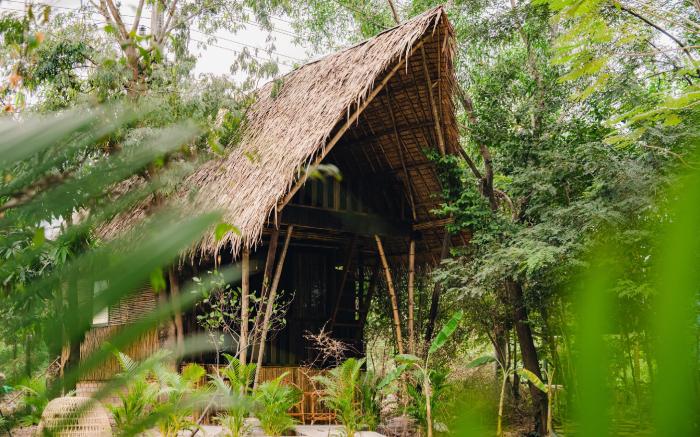 Banyan Tree Hostel