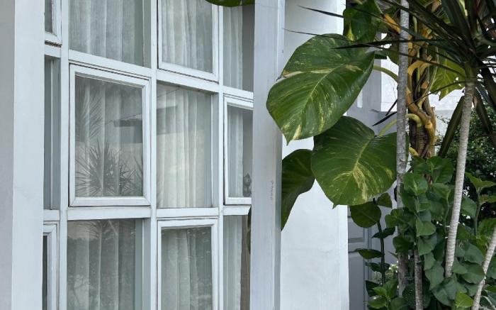 Magnolia Homestay