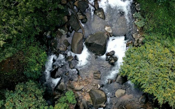 Hill Rows Plantation & Forest Exp By GreenEscapes