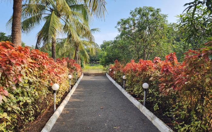 The Gir View Resort