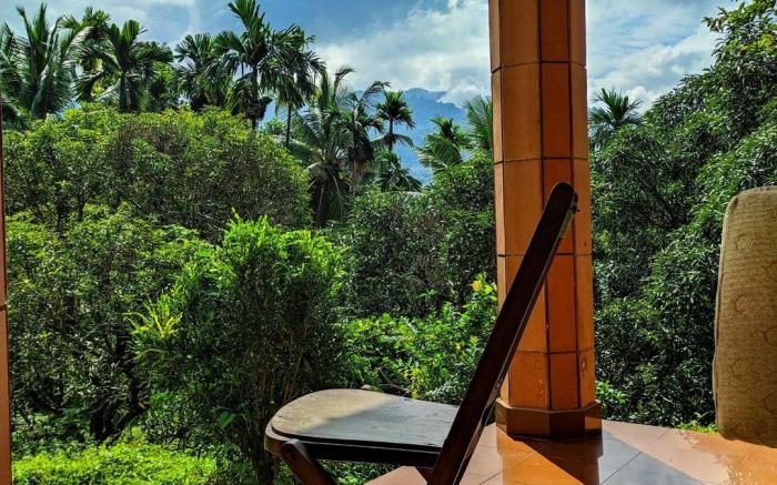 Forest Fusion:LOSE YOURSELF IN NATURE'S LUXURY