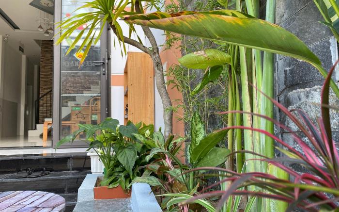 Little Boss Hoi An Homestay