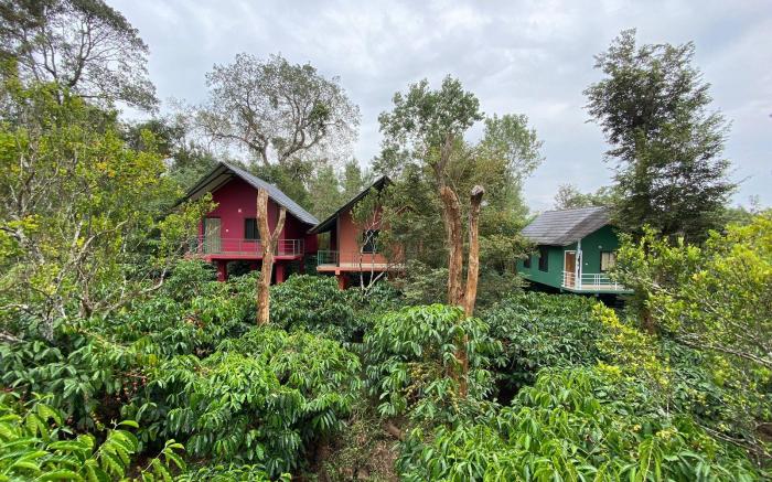 The Rain Tree Resort, Tholpetty,Wayanad