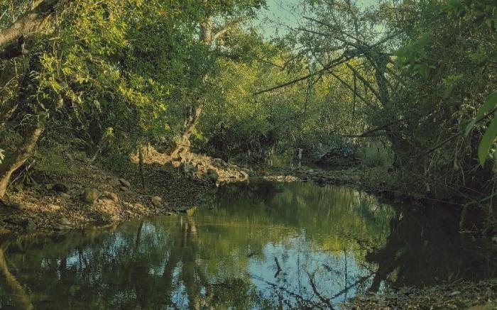 Madhuvan Retreat Resort Amba