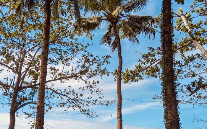 Playa del Fuego Camiguin Beach Hostel & Resort 