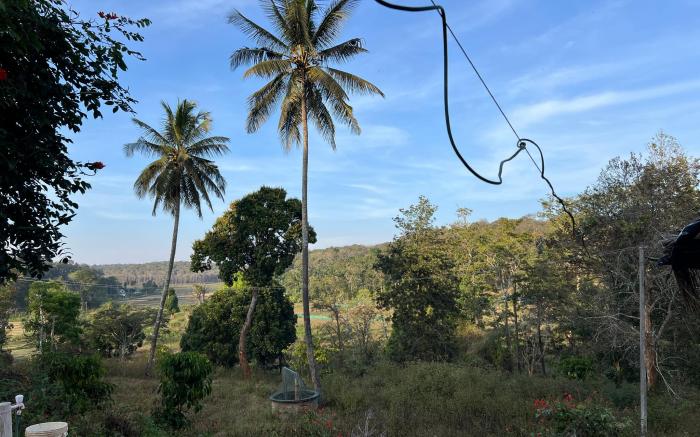 Wild4rest Homestay and huts 