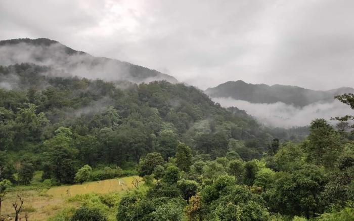 Ghughuti Homestay