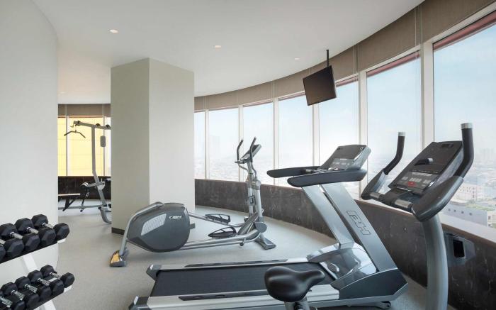 Ibis Styles Jakarta Mangga Dua Hotel