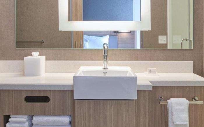 SpringHill Suites by Marriott East Lansing University Area