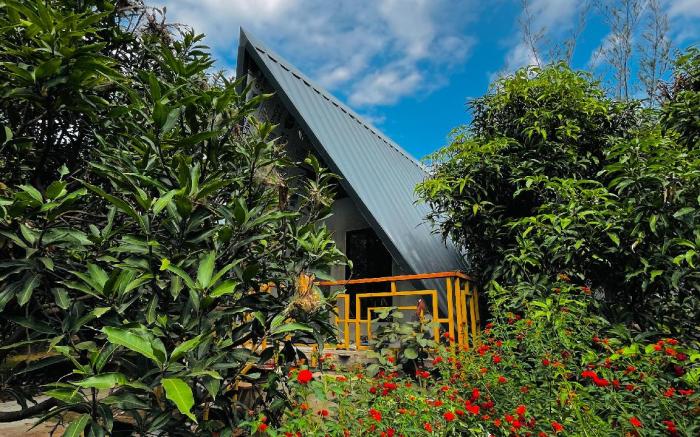 Birds Nest Resort