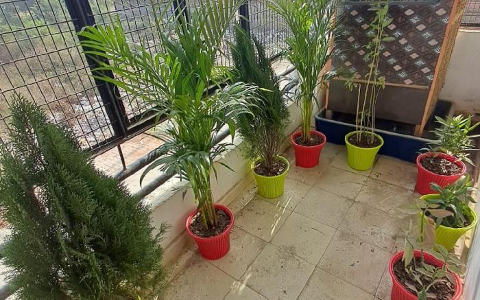 Krishnashray Home stay