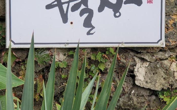 Haebyeol Pension