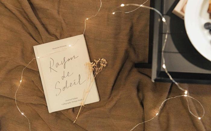 Scandi Haven : Cozy Earth-Toned Retreat