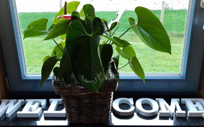 Beautiful charming Wooden House