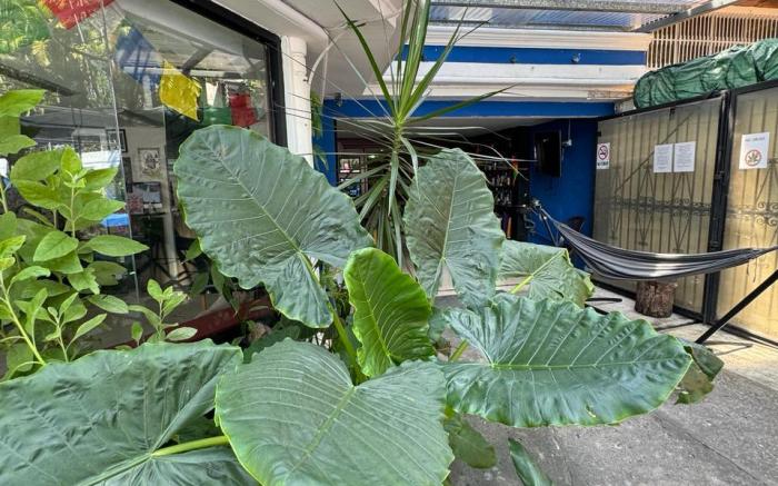 Panama Experience Hostel