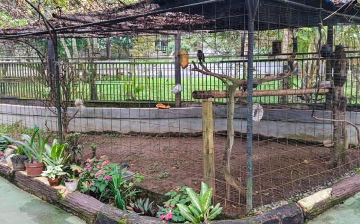 D'Royale Tapos Bogor