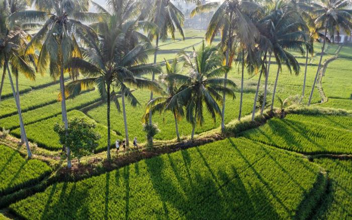 Wooden Ganeca Villas by Pramana Villas