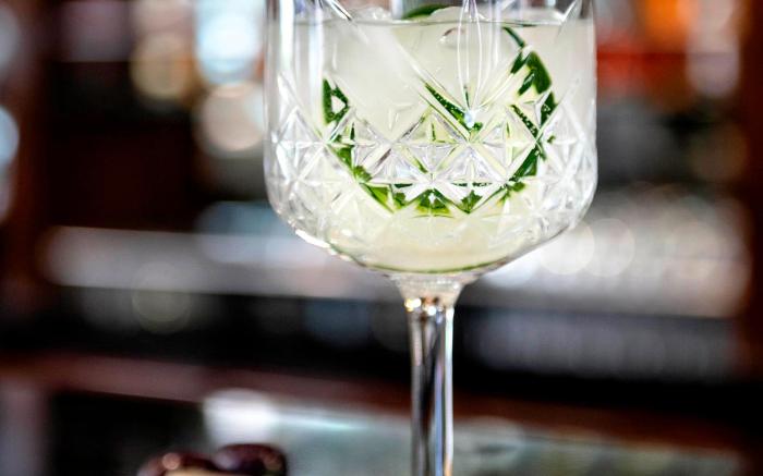 Pullman Santiago El Bosque